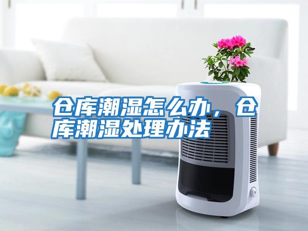 倉庫潮濕怎么辦，倉庫潮濕處理辦法