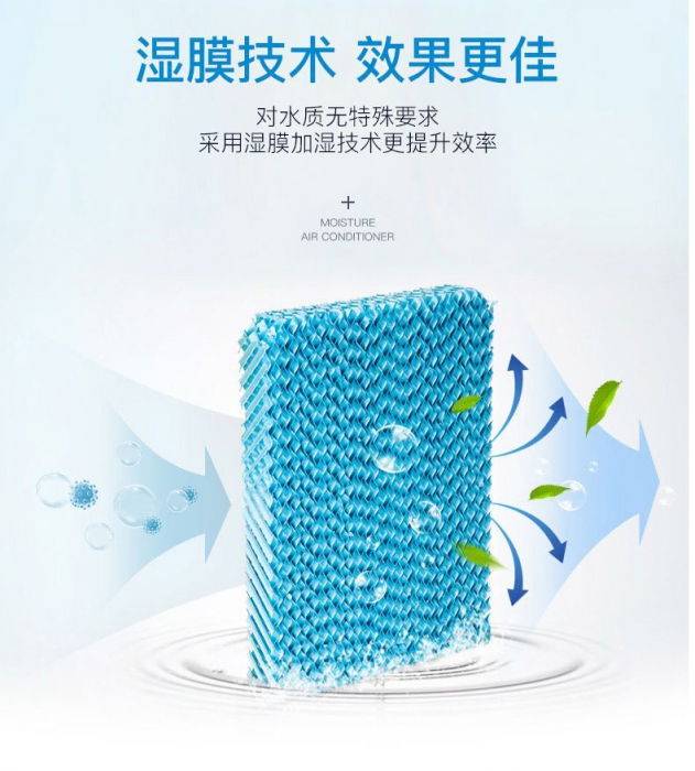 潮濕季，食材／貴重物品該防潮防霉防蟲，你不知道的秘密！
