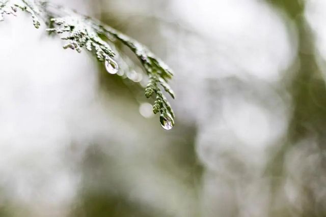 空氣濕度大帶來的危害有哪些，你知道嗎？