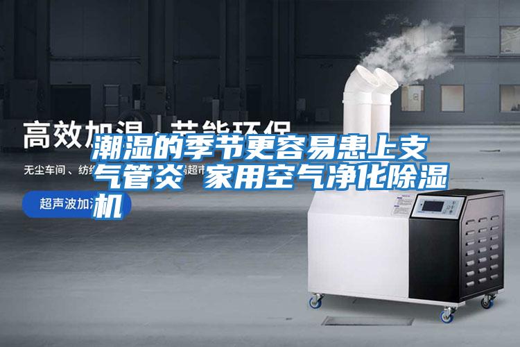 潮濕的季節(jié)更容易患上支氣管炎 家用空氣凈化除濕機