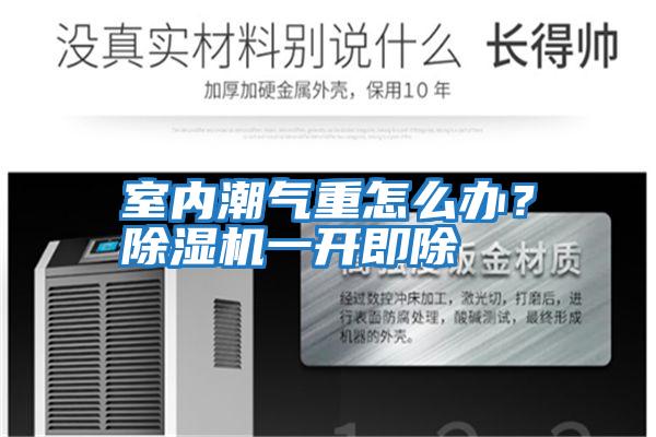 室內潮氣重怎么辦?除濕機一開即除