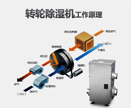 加濕器與除濕機：生活中更需要哪一個？