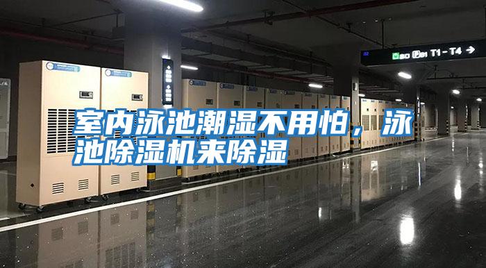 室內泳池潮濕不用怕，泳池除濕機來除濕