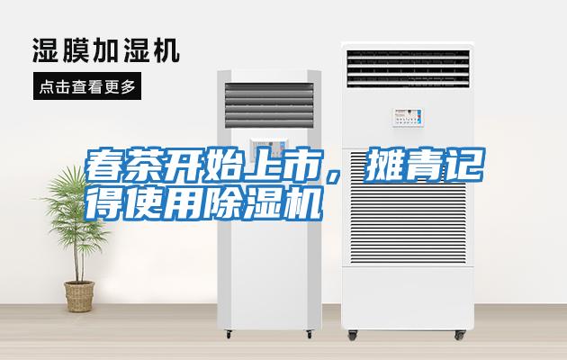 春茶開(kāi)始上市，攤青記得使用除濕機(jī)