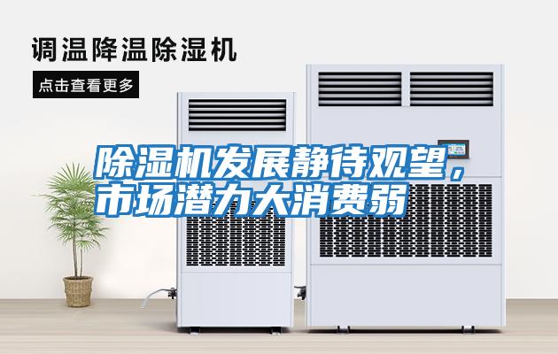 除濕機發展靜待觀望，市場潛力大消費弱