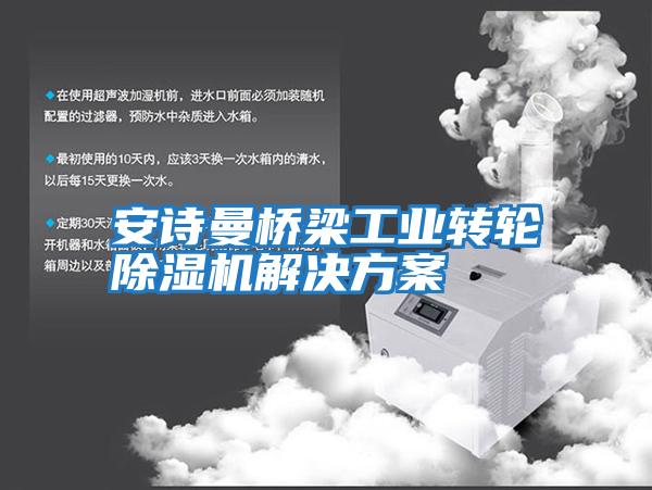 安詩(shī)曼橋梁工業(yè)轉(zhuǎn)輪除濕機(jī)解決方案