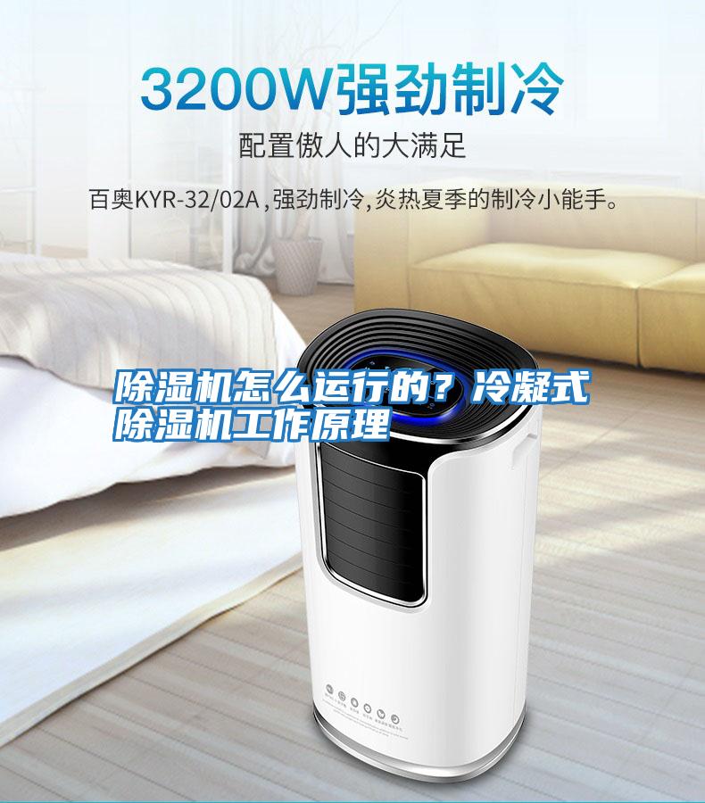 除濕機(jī)怎么運行的？冷凝式除濕機(jī)工作原理