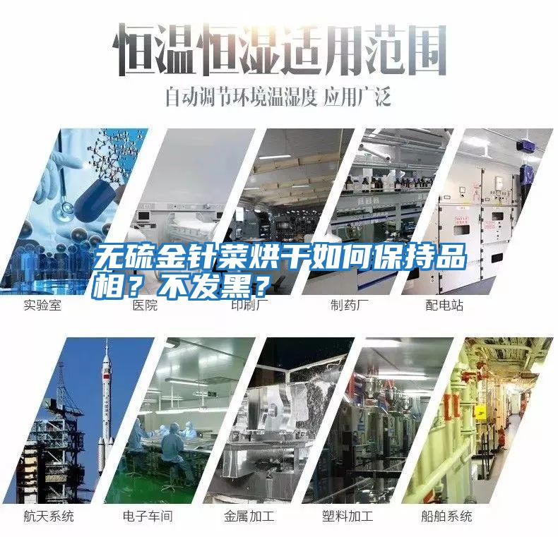 無硫金針菜烘干如何保持品相？不發(fā)黑？