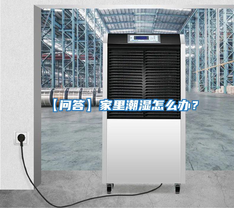 【問答】家里潮濕怎么辦？
