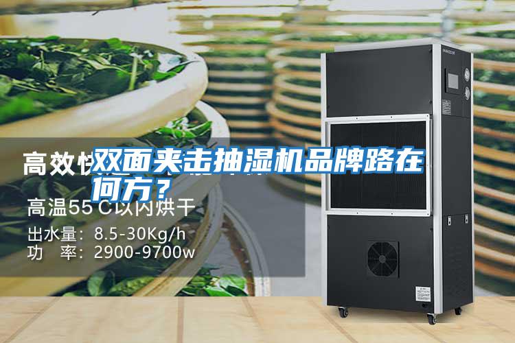 雙面夾擊抽濕機品牌路在何方?
