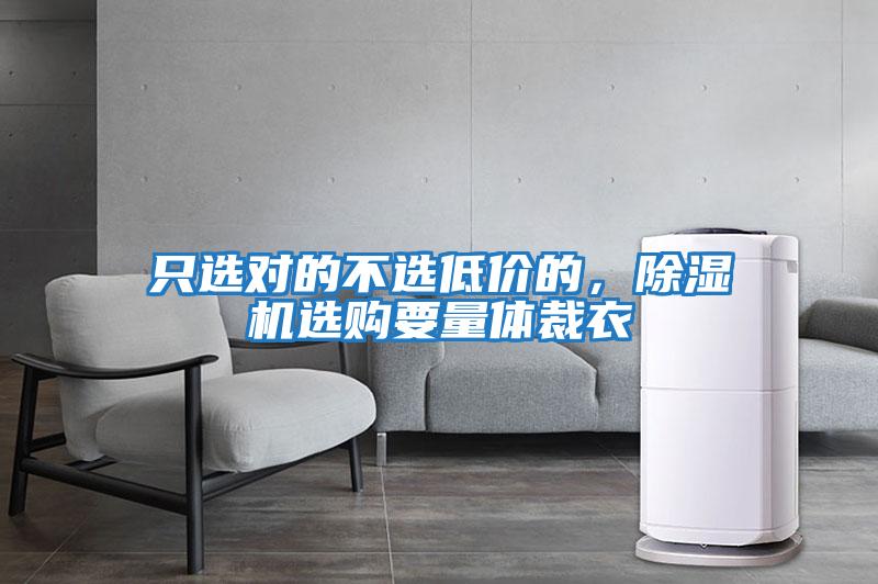 只選對的不選低價的，除濕機選購要量體裁衣