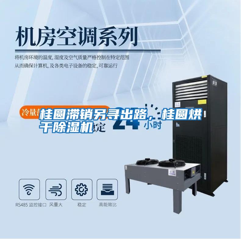 桂圓滯銷(xiāo)另尋出路，桂圓烘干除濕機(jī)