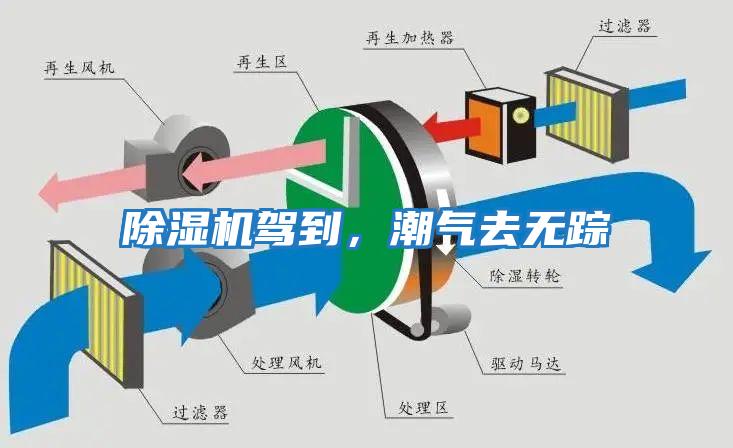 除濕機駕到，潮氣去無蹤