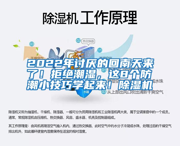 2022年討厭的回南天來了！拒絕潮濕，這8個防潮小技巧學起來！除濕機