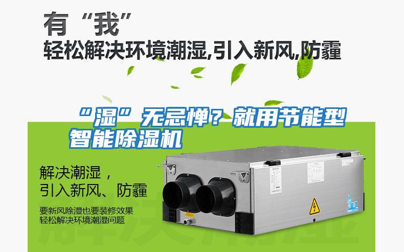 “濕”無忌憚？就用節(jié)能型智能除濕機