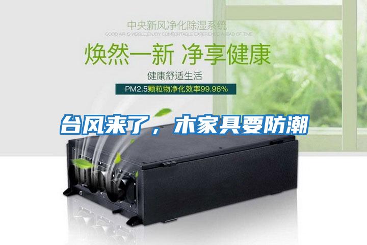 臺(tái)風(fēng)來(lái)了，木家具要防潮
