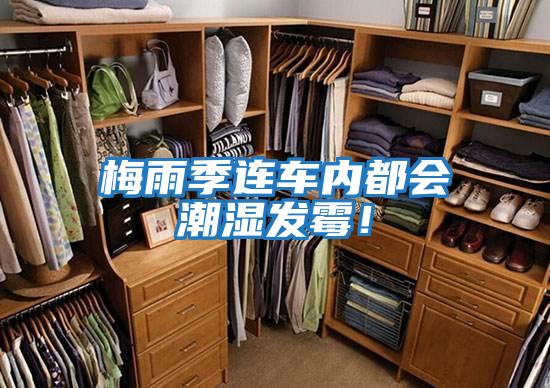 梅雨季連車內都會潮濕發霉!