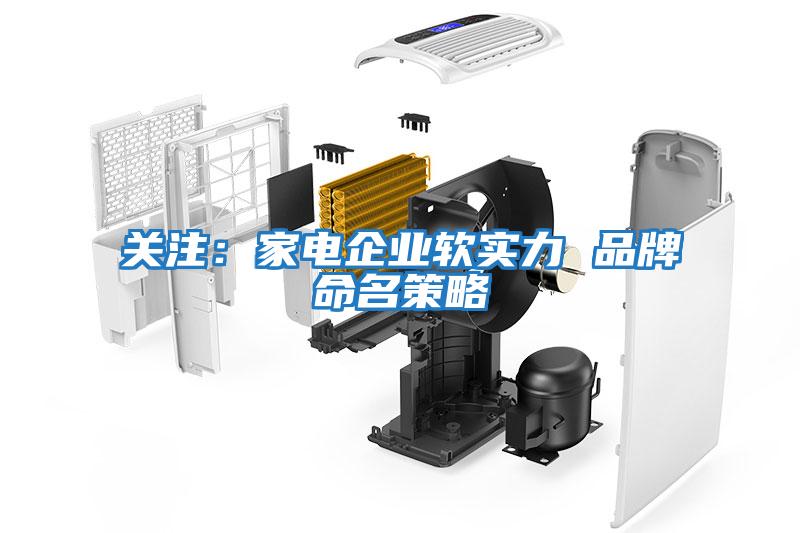 關注：家電企業(yè)軟實力 品牌命名策略