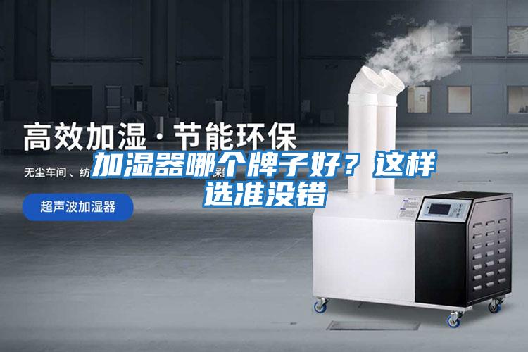 加濕器哪個牌子好？這樣選準沒錯