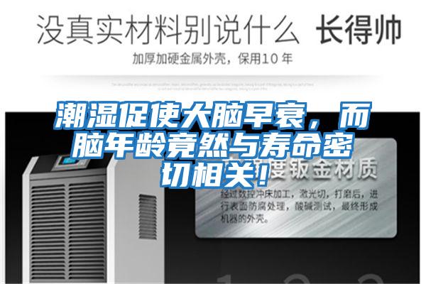 潮濕促使大腦早衰，而腦年齡竟然與壽命密切相關！