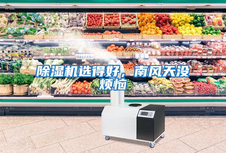 除濕機選得好，南風天沒煩惱