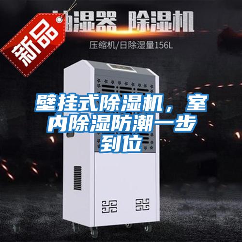 壁掛式除濕機，室內除濕防潮一步到位