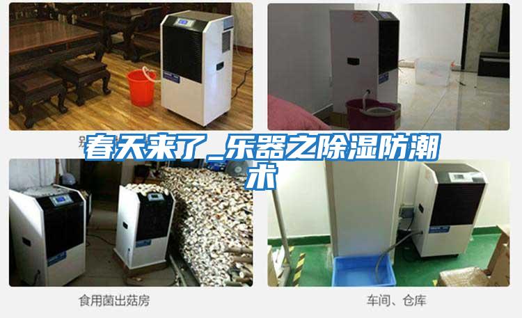 春天來(lái)了_樂器之除濕防潮術(shù)