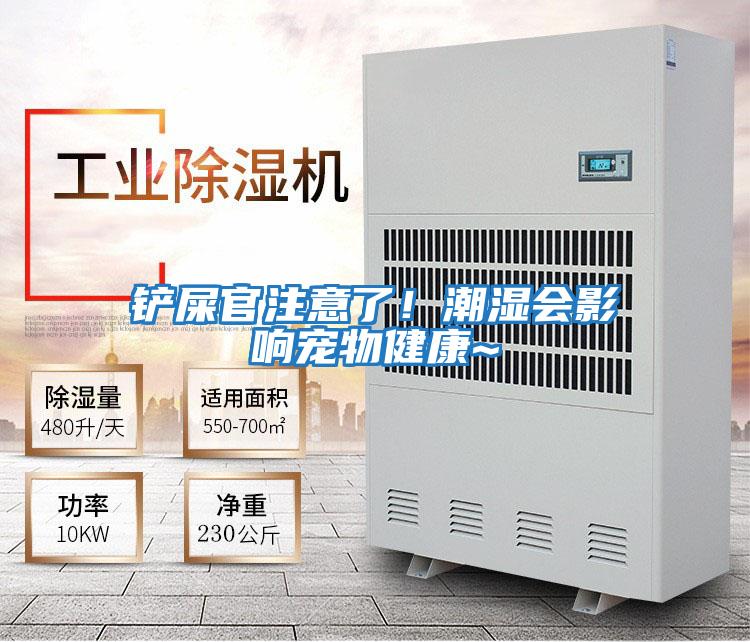 鏟屎官注意了!潮濕會影響寵物健康~