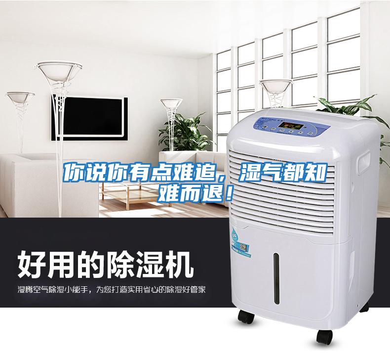 你說你有點難追，濕氣都知難而退！