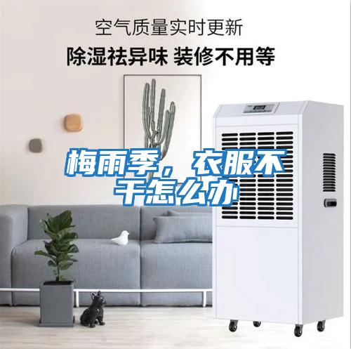 梅雨季，衣服不干怎么辦