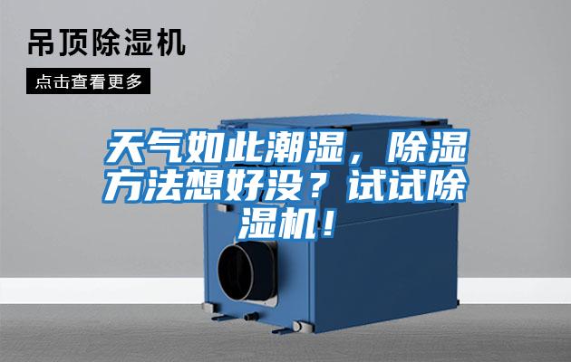天氣如此潮濕，除濕方法想好沒？試試除濕機！