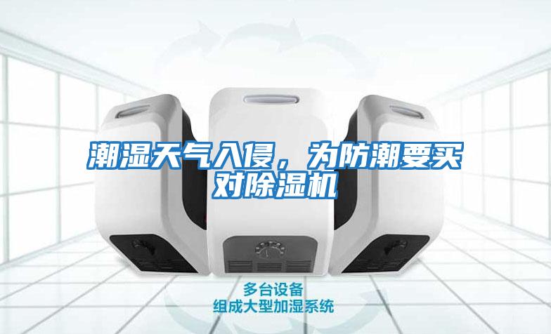 潮濕天氣入侵,為防潮要買對除濕機
