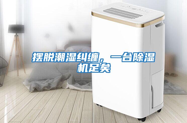 擺脫潮濕糾纏，一臺(tái)除濕機(jī)足矣