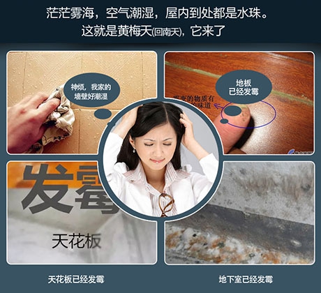 吊裝式中央除濕機，滿足全屋除濕需求