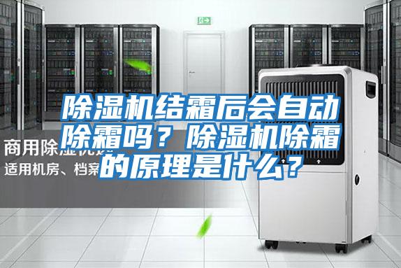 除濕機結霜后會自動除霜嗎？除濕機除霜的原理是什么？