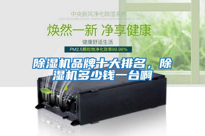 除濕機(jī)品牌十大排名，除濕機(jī)多少錢一臺(tái)啊