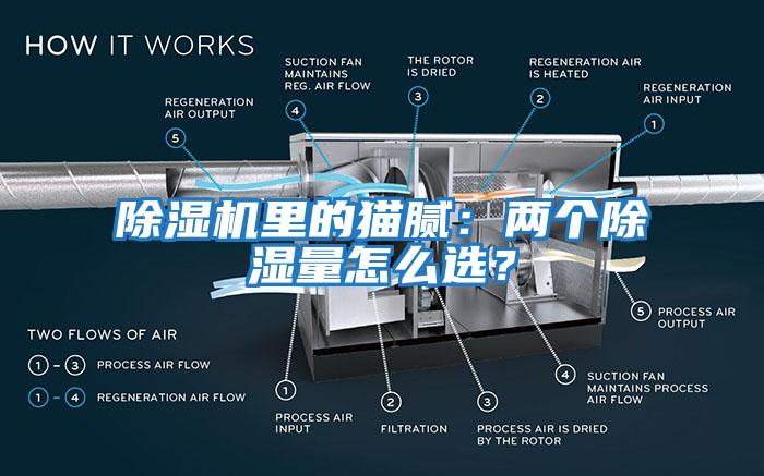 除濕機(jī)里的貓膩：兩個(gè)除濕量怎么選？