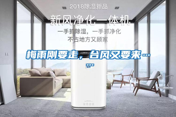 梅雨剛要走，臺(tái)風(fēng)又要來(lái)……