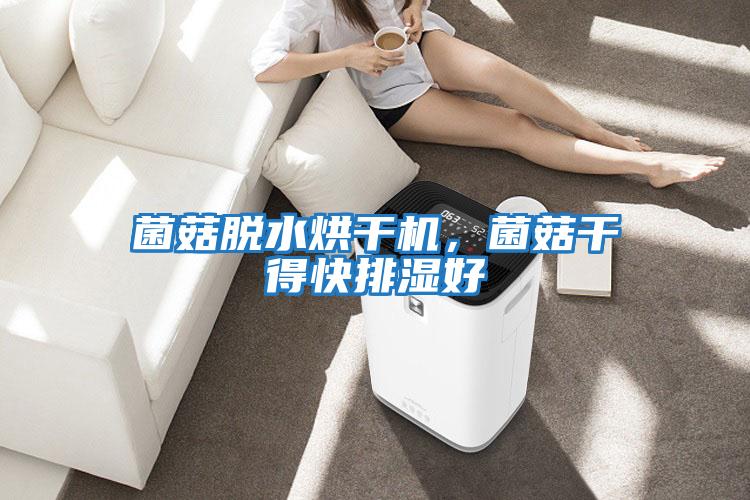 菌菇脫水烘干機，菌菇干得快排濕好