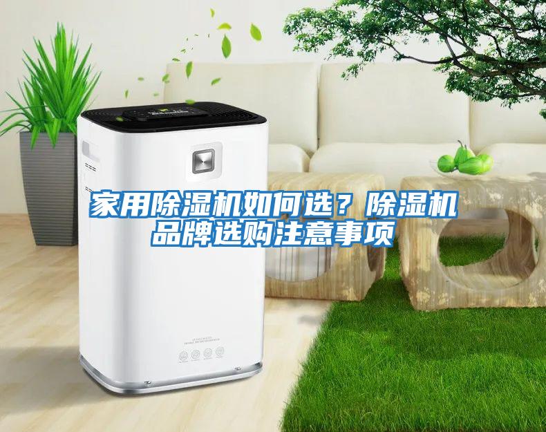 家用除濕機如何選？除濕機品牌選購注意事項