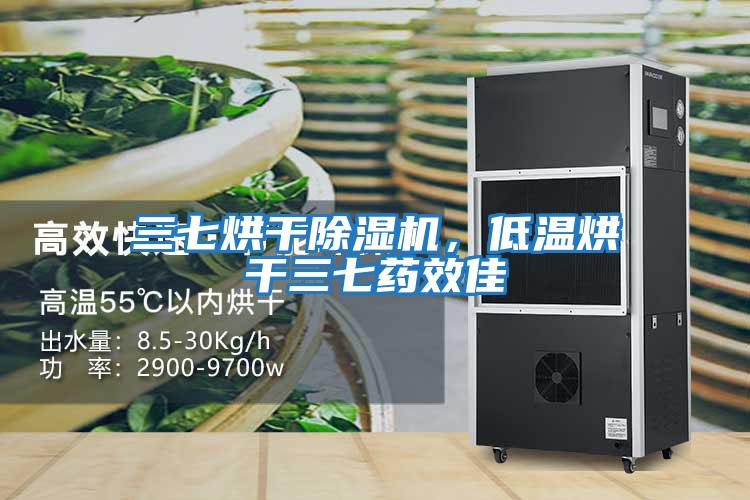 三七烘干除濕機，低溫烘干三七藥效佳
