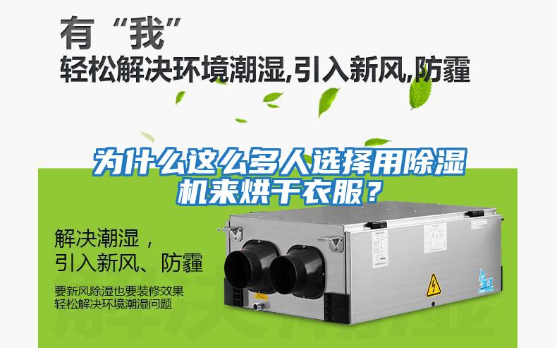 為什么這么多人選擇用除濕機來烘干衣服？
