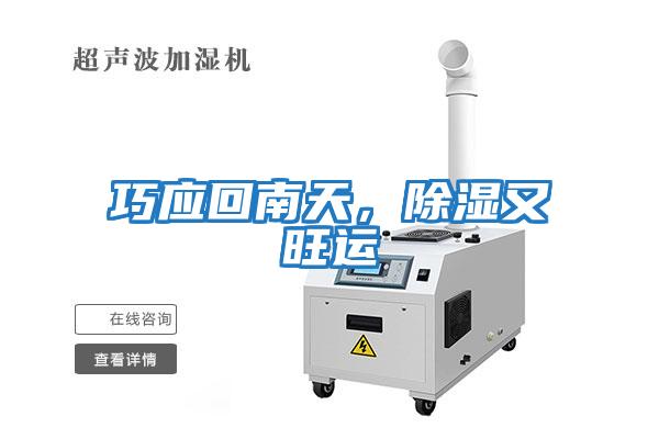 巧應(yīng)回南天,除濕又旺運(yùn)