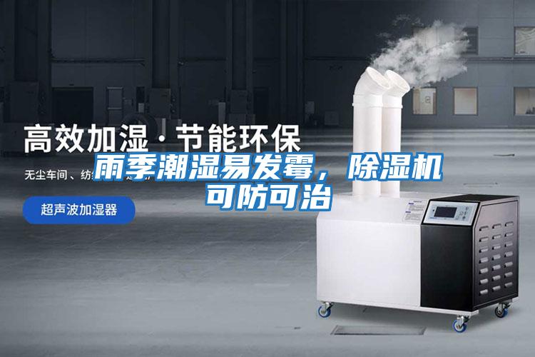 雨季潮濕易發霉，除濕機可防可治