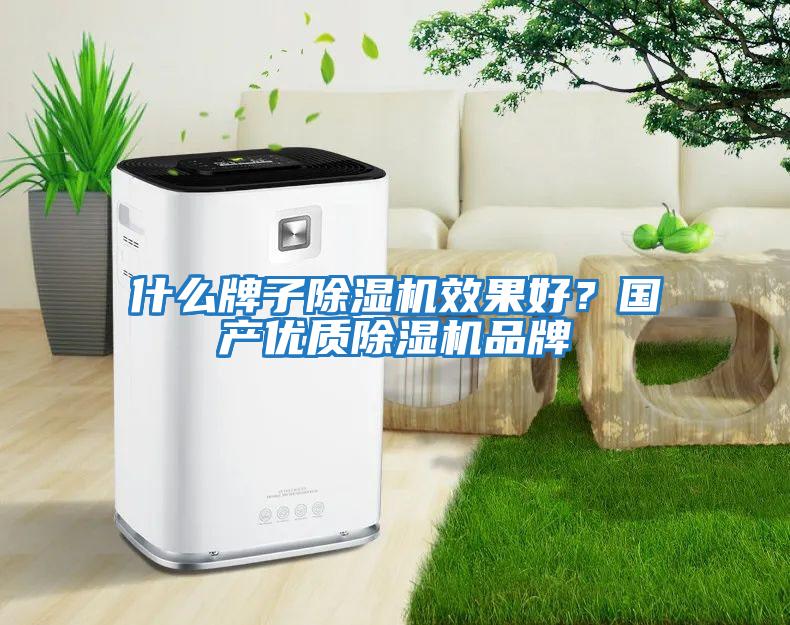 什么牌子除濕機(jī)效果好？國(guó)產(chǎn)優(yōu)質(zhì)除濕機(jī)品牌