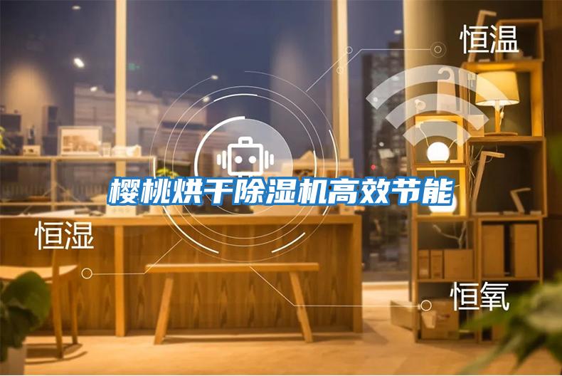櫻桃烘干除濕機高效節(jié)能