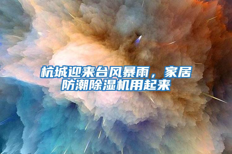杭城迎來臺風暴雨，家居防潮除濕機用起來