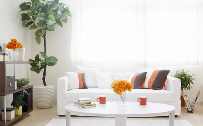 蔬菜加濕器，讓新鮮蔬菜保鮮更省心