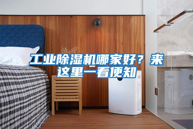 工業(yè)除濕機哪家好？來這里一看便知