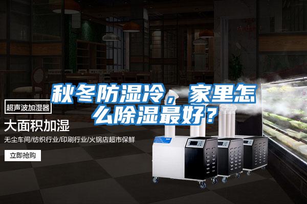 秋冬防濕冷，家里怎么除濕最好？